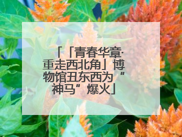 「青春华章·重走西北角」博物馆丑东西为“神马”爆火