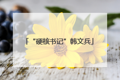 “硬核书记”韩文兵