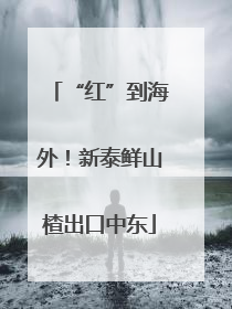“红”到海外！新泰鲜山楂出口中东