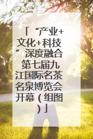 “产业+文化+科技”深度融合 第七届九江国际名茶名泉博览会开幕（组图）