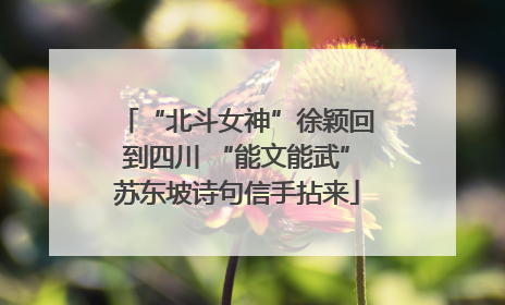 “北斗女神”徐颖回到四川 “能文能武”苏东坡诗句信手拈来