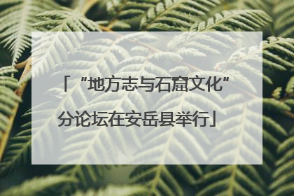“地方志与石窟文化”分论坛在安岳县举行