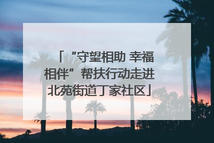 “守望相助 幸福相伴”帮扶行动走进北苑街道丁家社区