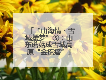 “山海情・雪域援梦”⑤：山东蘑菇成雪域高原“金疙瘩”