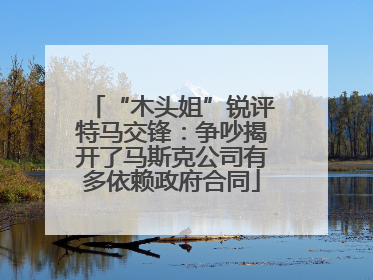 “木头姐”锐评特马交锋：争吵揭开了马斯克公司有多依赖政府合同