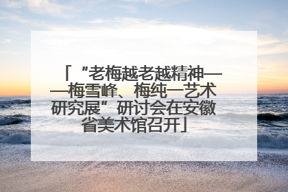“老梅越老越精神——梅雪峰、梅纯一艺术研究展”研讨会在安徽省美术馆召开