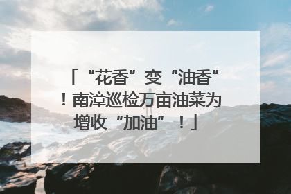 “花香”变“油香”！南漳巡检万亩油菜为增收“加油”！