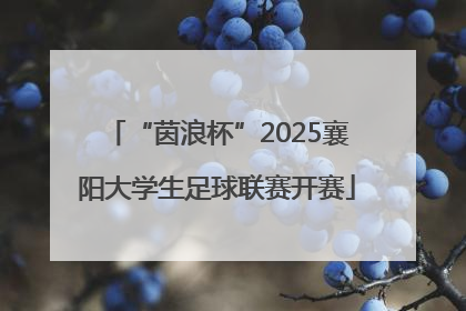 “茵浪杯”2025襄阳大学生足球联赛开赛
