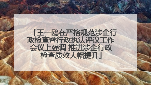 王一鸥在严格规范涉企行政检查暨行政执法评议工作会议上强调 推进涉企行政检查质效大幅提升
