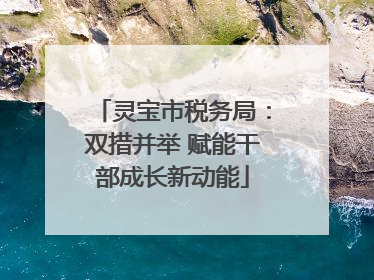 灵宝市税务局：双措并举 赋能干部成长新动能