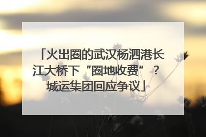 火出圈的武汉杨泗港长江大桥下“圈地收费”？城运集团回应争议