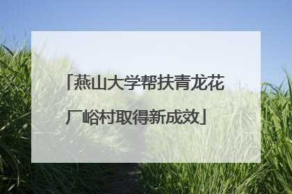 燕山大学帮扶青龙花厂峪村取得新成效