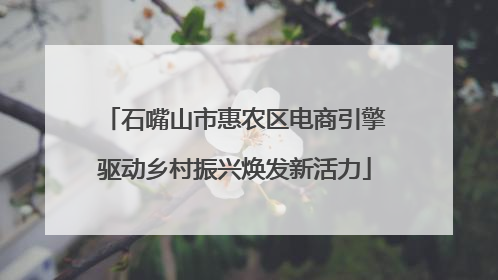 石嘴山市惠农区电商引擎驱动乡村振兴焕发新活力