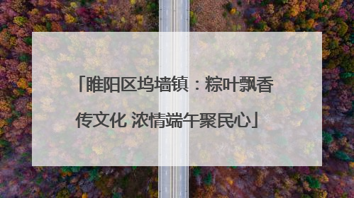 睢阳区坞墙镇：粽叶飘香传文化 浓情端午聚民心