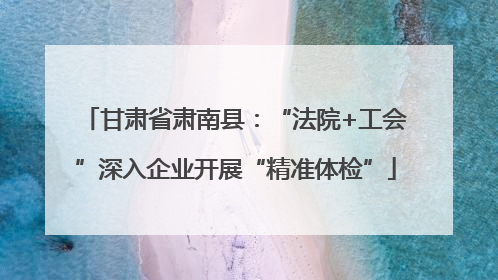 甘肃省肃南县：“法院+工会”深入企业开展“精准体检”