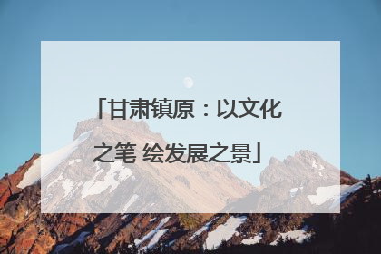甘肃镇原：以文化之笔 绘发展之景