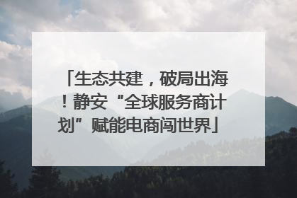 生态共建，破局出海！静安“全球服务商计划”赋能电商闯世界