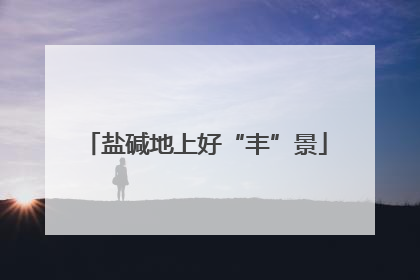 盐碱地上好“丰”景
