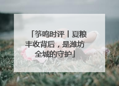 筝鸣时评丨夏粮丰收背后，是潍坊全城的守护