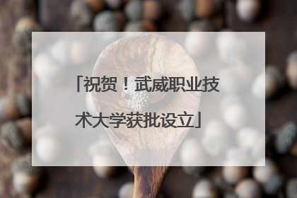 祝贺！武威职业技术大学获批设立
