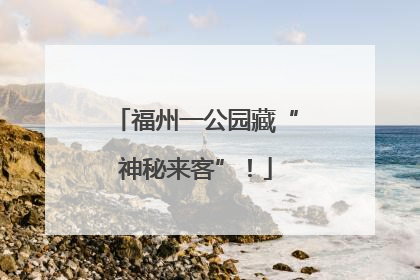 福州一公园藏“神秘来客”！