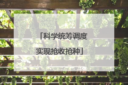 科学统筹调度实现抢收抢种