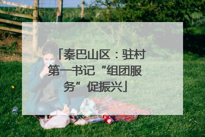 秦巴山区：驻村第一书记“组团服务”促振兴