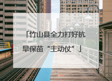 竹山县全力打好抗旱保苗“主动仗”
