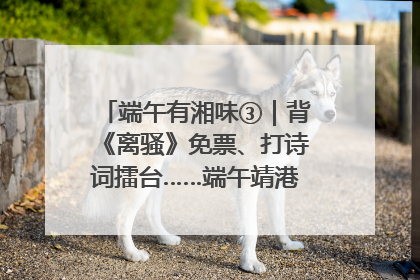 端午有湘味③｜背《离骚》免票、打诗词擂台……端午靖港古镇趣味多