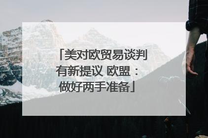 美对欧贸易谈判有新提议 欧盟：做好两手准备