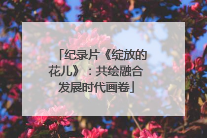 纪录片《绽放的花儿》：共绘融合发展时代画卷