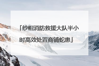 纱帽消防救援大队半小时高效处置商铺蛇患