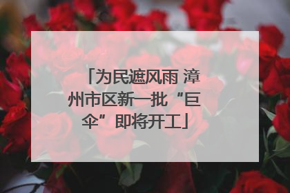 为民遮风雨 漳州市区新一批“巨伞”即将开工