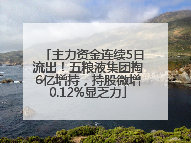 主力资金连续5日流出！五粮液集团掏6亿增持，持股微增0.12%显乏力