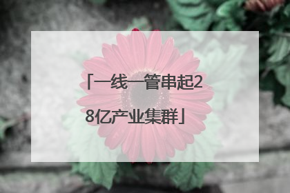 一线一管串起28亿产业集群