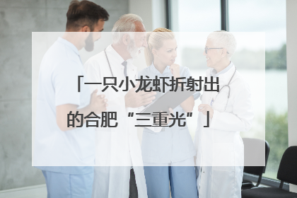 一只小龙虾折射出的合肥“三重光”