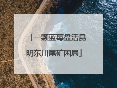 一颗蓝莓盘活昆明东川尾矿困局