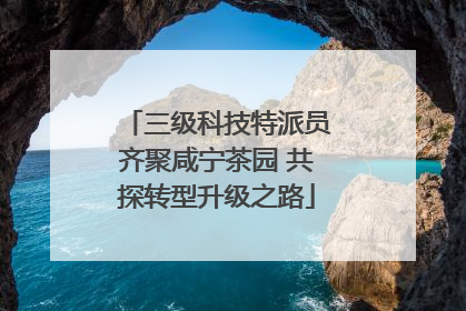 三级科技特派员齐聚咸宁茶园 共探转型升级之路