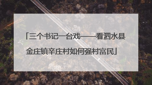 三个书记一台戏——看泗水县金庄镇辛庄村如何强村富民