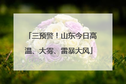 三预警！山东今日高温、大雾、雷暴大风