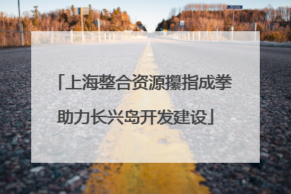 上海整合资源攥指成拳助力长兴岛开发建设