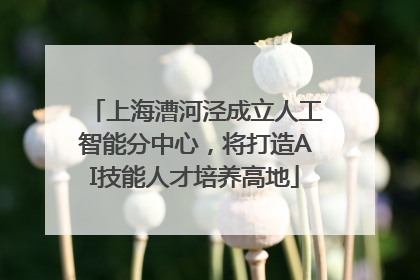 上海漕河泾成立人工智能分中心，将打造AI技能人才培养高地