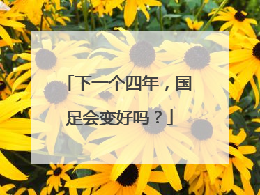 下一个四年，国足会变好吗？