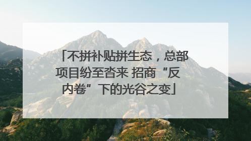 不拼补贴拼生态，总部项目纷至沓来 招商“反内卷”下的光谷之变