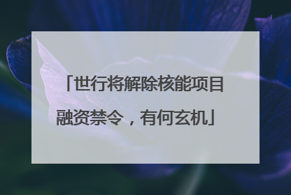 世行将解除核能项目融资禁令，有何玄机