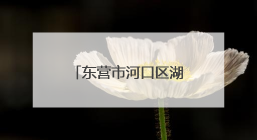 东营市河口区湖滨新区幼儿园：童耕“棉”田 “花”开成长