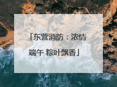 东营消防：浓情端午 粽叶飘香