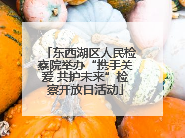 东西湖区人民检察院举办“携手关爱 共护未来”检察开放日活动