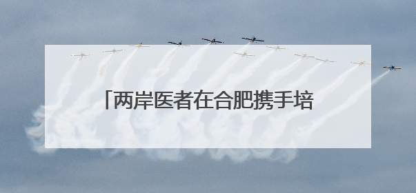两岸医者在合肥携手培训贵州毕节基层医师