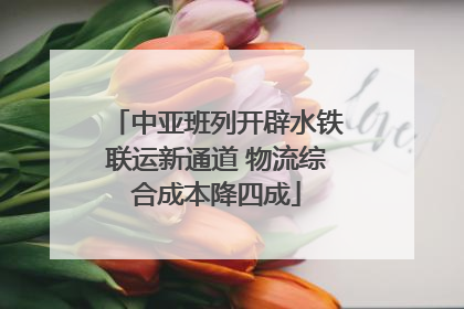 中亚班列开辟水铁联运新通道 物流综合成本降四成